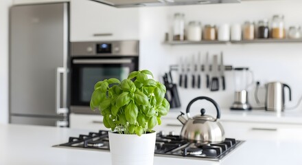 Modern Kitchen Countertop with Fresh Basil Plant and Kettle