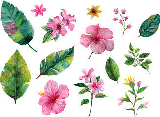 vector set of flowers and leaf