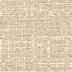 Pale Sand Linen Woven Fabric Seamless Background Texture