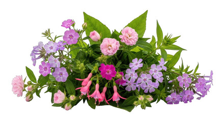 Beautiful floral arrangement of pink purple white flowers lush green leaves