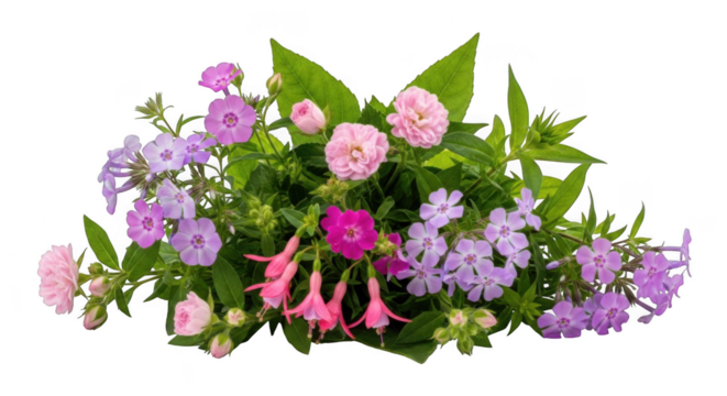 Beautiful floral arrangement of pink purple white flowers lush green leaves - Powered by Adobe