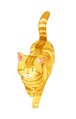 歩く茶トラ猫　動物・ペットの手描き水彩イラスト素材