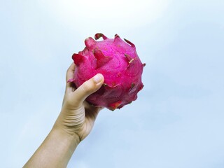 Hand Holding a Vibrant Pink Dragon Fruit Against a Light Blue Background