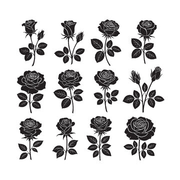 Set of black rose flower silhouettes floral vactor elements .