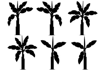 Banana Tree Silhouette Set. Tropical banana plant illustration, black minimal design for logo, botanical decoration, nature elements, tropical leaves art for print and graphic design.