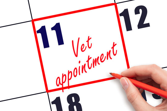 11 th day of the month. Hand writing Vet appointment reminder and drawing red frame on calendar with red pen on white background. concept of caring for pets. Planning and scheduling