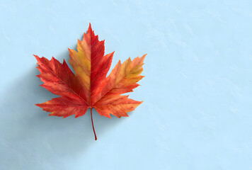 vibrant red maple leaf vector illustration, rendered in natural color, placed against a clean white background with ample copy space, symbolizing the beautiful autumn season for graphic design