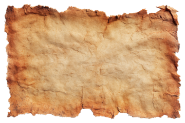 Old textured blank paper with frayed edges on transparent background