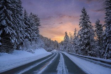 Snowy winter road in the forest
