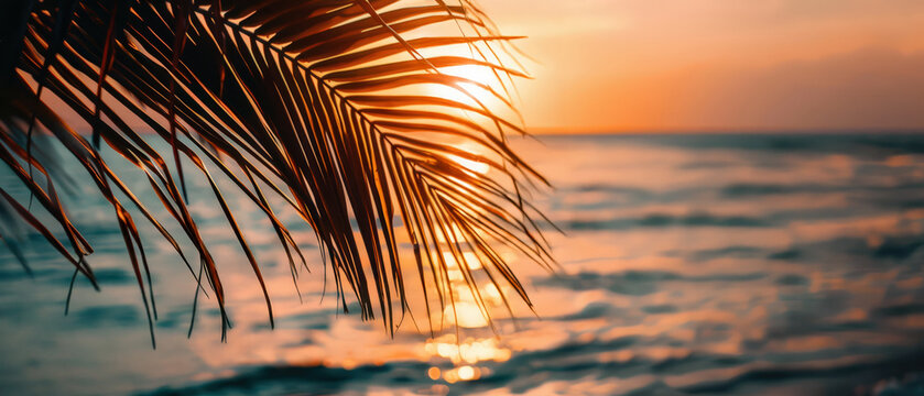 Silhouetted palm fronds frame a glowing ocean sunset, casting golden reflections on the water in a serene tropical scene.