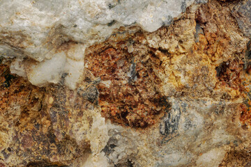 Macro degraded minerals and microplants from Khibiny — weathering and soil formation processes. Valuable for science, education and research in geoecology