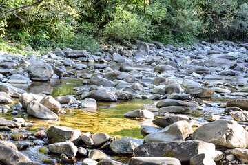 Tranquil riverbed scene featuring smooth stones and pebbles, surrounded by lush greenery and sunlight filtering through trees, creating a serene natural environment
