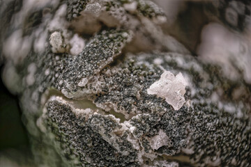 Macro photo of shamosite on quartz and calcite from Dalnegorsk — dark green microcrystalline aggregates under 2X magnification — professional micro mineral photography