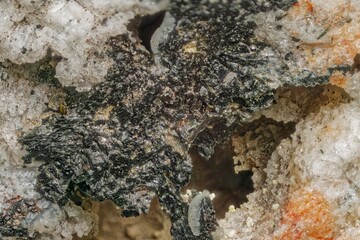 Macro degraded minerals and microplants from Khibiny — weathering and soil formation processes. Valuable for science, education and research in geoecology