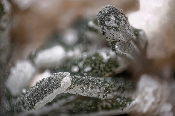 Macro photo of shamosite on quartz and calcite from Dalnegorsk — dark green microcrystalline aggregates under 2X magnification — professional micro mineral photography