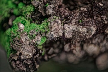 Macro: mineral uvarovite and clinochlore- Saranovskoe deposit. High magnification microphotography - scale of photography  3,7X.