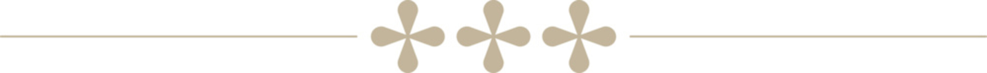 Indian Minimalistic Floral Motif text divider	
