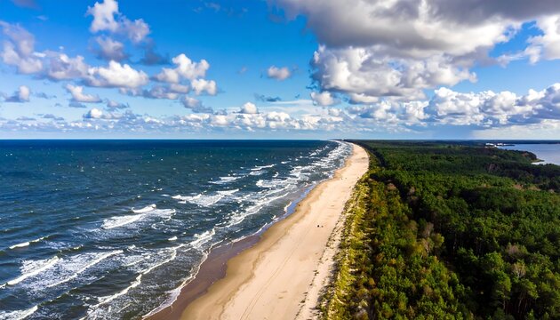Aerial view of a sandy beach meeting a dense forest under a bright, cloudy blue sky