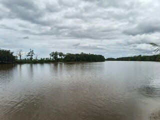 Calm river water and mangrove forests with cloudy sky conditions