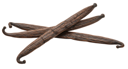 Aromatic vanilla beans isolated PNG, natural flavoring ingredient for baking and desserts on transparent background