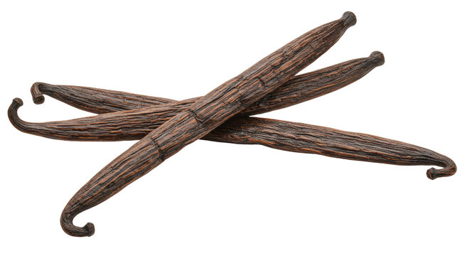 Aromatic vanilla beans isolated PNG, natural flavoring ingredient for baking and desserts on transparent background