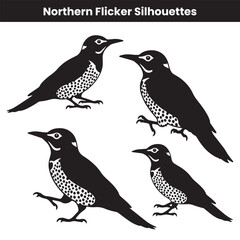 Northern Flicker Silhouettes
