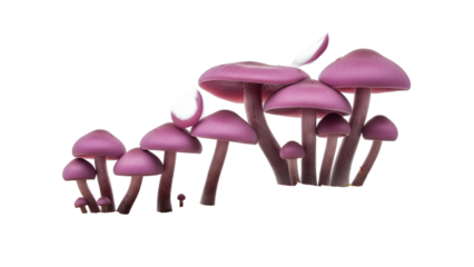 Cluster of Purple Mushrooms with Caps and Stems on Transparent Background Isolated