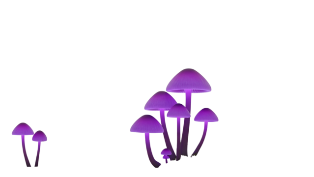 Illustration of Glowing Purple Mushrooms on Transparent Background with Soft Lighting and Dark Mysterious Atmosphere