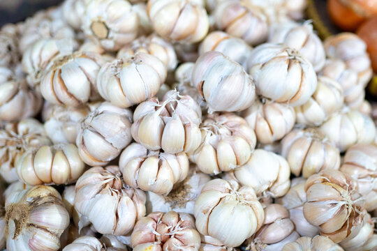 garlic on market