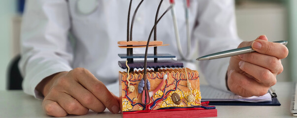 Medical professional examining a detailed skin model during a consultation