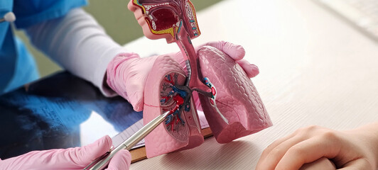 A healthcare professional discusses human anatomy with a patient, using a detailed anatomical