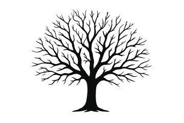 Fototapeta premium Silhouette of a large bare tree with intricate branching structure on white background