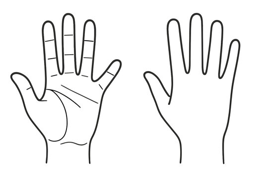 Simple outline of two human hands displaying the palm with chiromancy lines and the back view