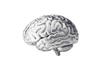Metallic silver brain with detailed folds and gyri, lateral view, isolated on a transparent background