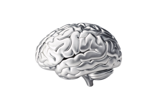 Metallic silver brain with detailed folds and gyri, lateral view, isolated on a transparent background