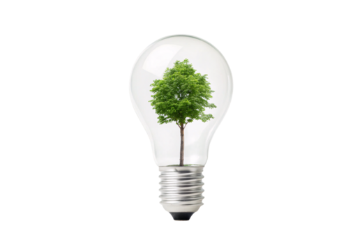 Green leafy tree enclosed within clear glass lightbulb, environmental concept, isolated on a transparent background