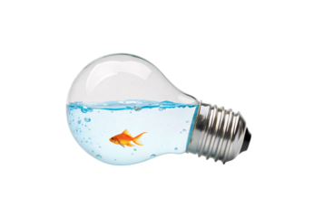 Goldfish swimming inside water-filled light bulb, isolated on a transparent background