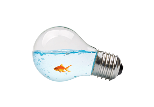 Goldfish swimming inside water-filled light bulb, isolated on a transparent background