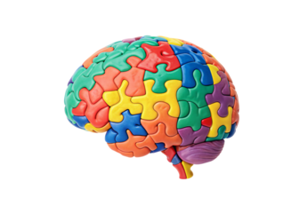 Human brain composed of interlocking multicolored jigsaw puzzle pieces from side, isolated on a transparent background