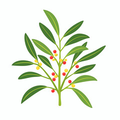 Illustration of a Holly Plant with Berries and Leaves.