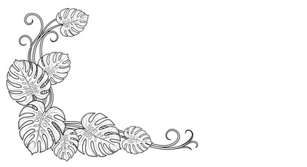 Monstera leaves illustration as a botanical decorative corner design