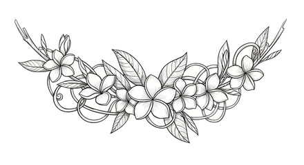 Plumeria floral sketch arrangement, detailed monochrome illustration art