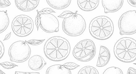 Seamless pattern with hand drawn monochrome citrus fruit sketches design
