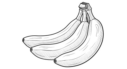 Simple sketch of a banana bunch in black outline for drawing practice