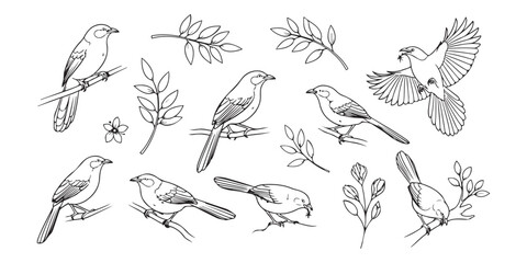 hand drawn vector illustration