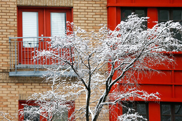 Arbres couverts de givre devant un bâtiment, Québec, Canada