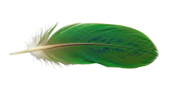 Isolated vivid green feather with blue spots against a bright backdrop, delicate avian plumage - Powered by Adobe