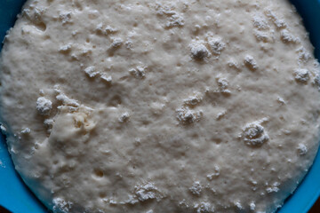 Raw yeast dough. Seeded bread. Food concept