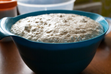 Raw yeast dough. Seeded bread. Food concept