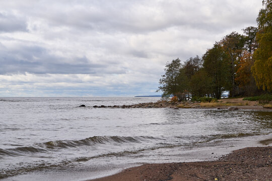 Rocky shoreline with trees and gentle waves on autumn day near Gulf of Finland.